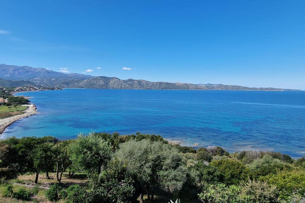 Appartement Sur La Baie De Saint Florent 파트리모니오 외부 사진