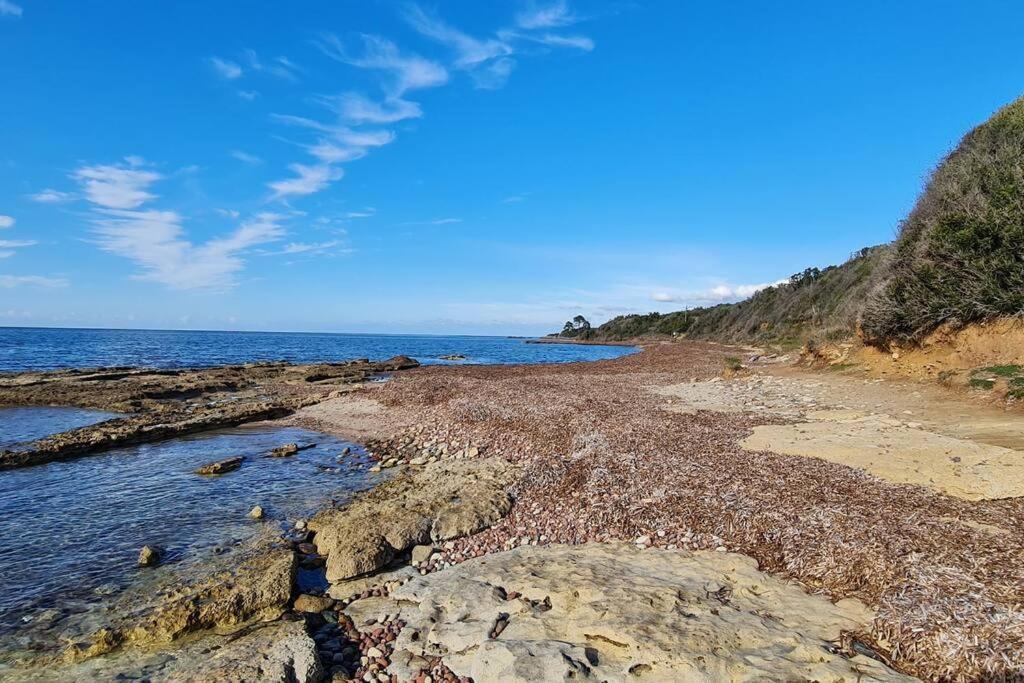 Appartement Sur La Baie De Saint Florent 파트리모니오 외부 사진