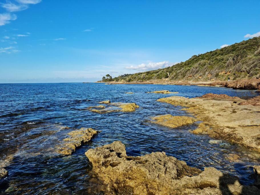 Appartement Sur La Baie De Saint Florent 파트리모니오 외부 사진