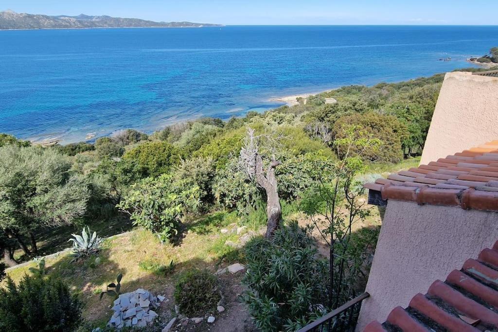 Appartement Sur La Baie De Saint Florent 파트리모니오 외부 사진